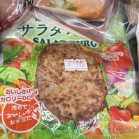 Vegan soy burger patty  at Natural Foods Donguri in Kyoto