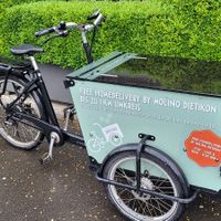  at Molino Pizzeria Ristorante in Dietikon