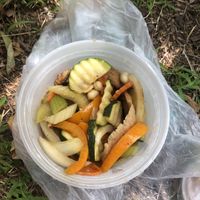 Kung pao “chicken”. We got the lunch special that came with rice and a spring roll. Would definitely recommend going that route because you get rice, which was really good to h at Thai Vegan III in Pacific Palisades