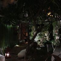 Patio at BamBoo Vegan in Nha Trang