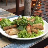 Deep fried spring rolls  at BamBoo Vegan in Nha Trang