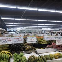 Produce as far as the eye can see at Berkeley Bowl in Berkeley