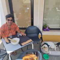 Sundy a dormitar na esplanada at Veg & Tal in Sines