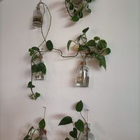  at Veg & Tal in Sines