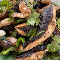 Delicious mushroom salad with shitaki & koreander , very savory  at Veg & Tal in Sines