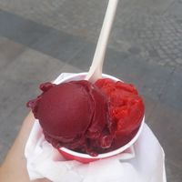 Sorbet at La Fraiseraie in Nantes