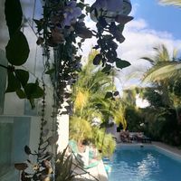  at Coco Calala in Leon