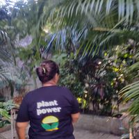  at Coco Calala in Leon