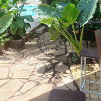  at Coco Calala in Leon