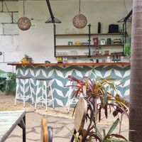 The bar at Coco Calala in Leon