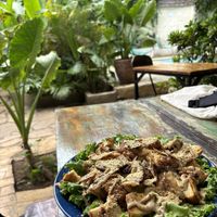   at Coco Calala in Leon