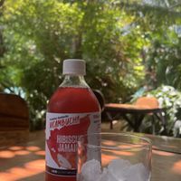 Kombucha  at Coco Calala in Leon