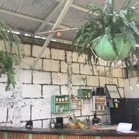 Bar at Coco Calala in Leon