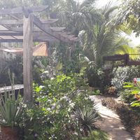 Garden (Bar, Kitchen and Tables are even further in the back) at Coco Calala in Leon