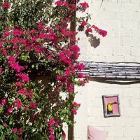 Stunning setting at Coco Calala in Leon