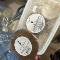   at Mata G's Vegetarian Kitchen in Albuquerque