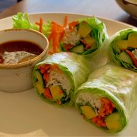 Spring rolls  at Green Bamboo in Nelson