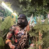   at Kong - Food Made With Compassion in Lisbon