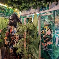 Very cool decor at Kong - Food Made With Compassion in Lisbon