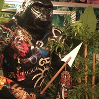   at Kong - Food Made With Compassion in Lisbon