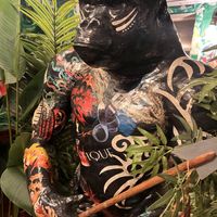 Kongo  at Kong - Food Made With Compassion in Lisbon