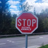  at Tavci Kuhna in Lesce