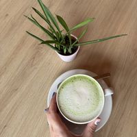 Oat matcha latte  at Tavci Kuhna in Lesce