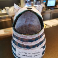 Contributions pot for animal shelter. at Tavci Kuhna in Lesce