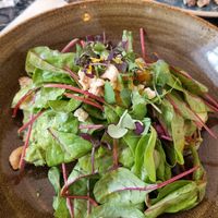 Spicy Mango Avocado (so yum) at Cafe Drechsler in Vienna