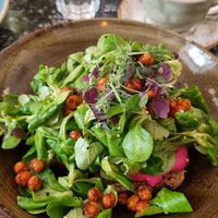 Vegans don't bite at Cafe Drechsler in Vienna