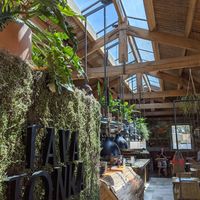 inside at Fava Tonka in Matosinhos