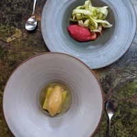vegan dessert: sorbets at Fava Tonka in Matosinhos