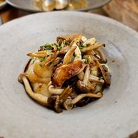 Pure com cogumelos. at Fava Tonka in Matosinhos