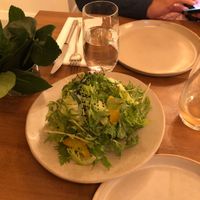 Fennel salad  at Arkhe in Lisbon