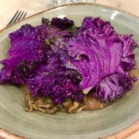 Vegan Oyster mushrooms and purple kale polenta at kuten inclusive kitchen in North Miami Beach