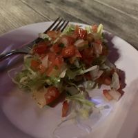 Vegan house app at La Galeria in Cabo San Lucas