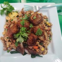 #152 Helen Special fried rice with peikan duck at Thanh Tinh Chay in San Diego