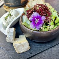 Choice of vegan cheeses   at Utopia in Nice