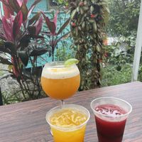   at Sana Farm Stand in Rincon