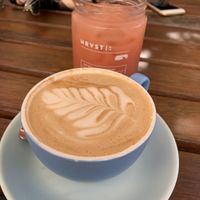Soy flat white and juice  at Paper Moon in Annerley