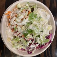 Falafel with salad bowl  at BenjYehuda - Wells St in Chicago