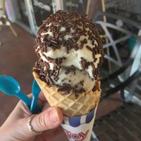 Vegan vanilla chip (made with soy) and cashew cream caramel ice cream  at Joey's Custard in Sanibel