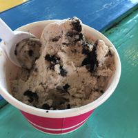 Vegan cookies and cream at Joey's Custard in Sanibel