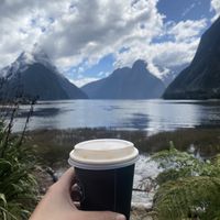   at Discover Milford Sound Information Centre in Milford Sound