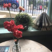 Arty round hill made from books at The Roundhill in Brighton