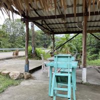 Seating  at Ying Ying's Kitchen in Koh Phangan