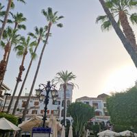 Lovely square with loads of restaurants. Great atmosphere at The Hen's Teeth in Alicante