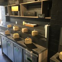 Hal as at SesamMe in North London