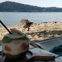  at Indie Beach in Koh Chang