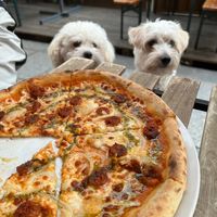 Pizza with my furry friends at Happiz - Monge in Paris